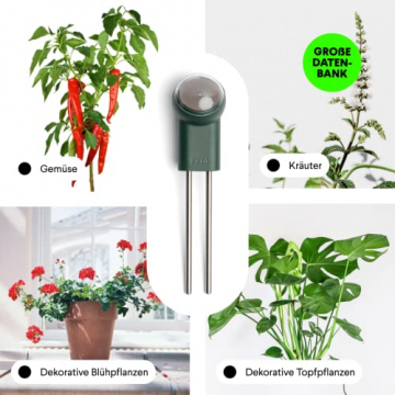 FYTA Beam Smarter Pflanzensensor - Misst Wasser, Temperatur, Licht, Düngebedarf unterstützt viele Pflanzenarten