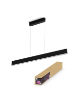 Philips Hue Ensis Pendelleuchte (Bluetooth, Schwarz)